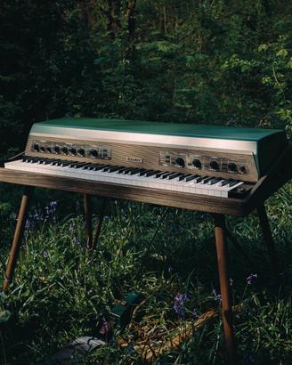 Rhodes Mk8 Earth Edition / Limited Edition - MIDI