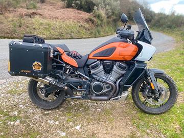 Harley Davidson Panamerica Special