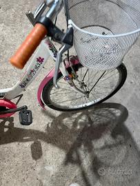 Bicicletta