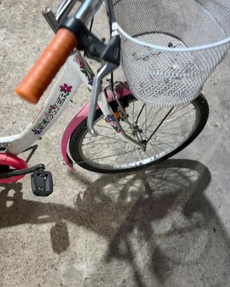 Bicicletta