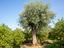 Immagine 28