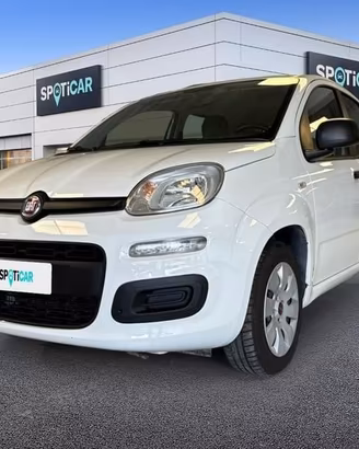 FIAT Panda 1.2 69cv S&S E6d-Temp Pop