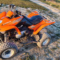 Maxxer 300