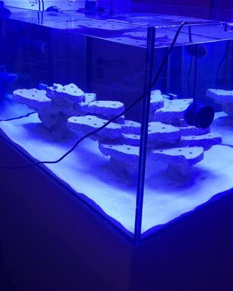 Rocciata Acquario Marino