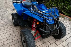 quad polaris scrambler