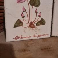 mattonelle da cucina e bagno