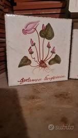 mattonelle da cucina e bagno