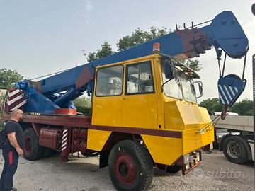 Autogru 30 ton