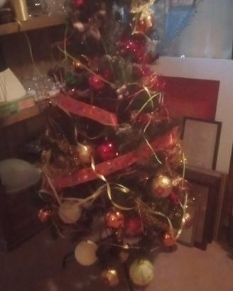 Albero d Natale 