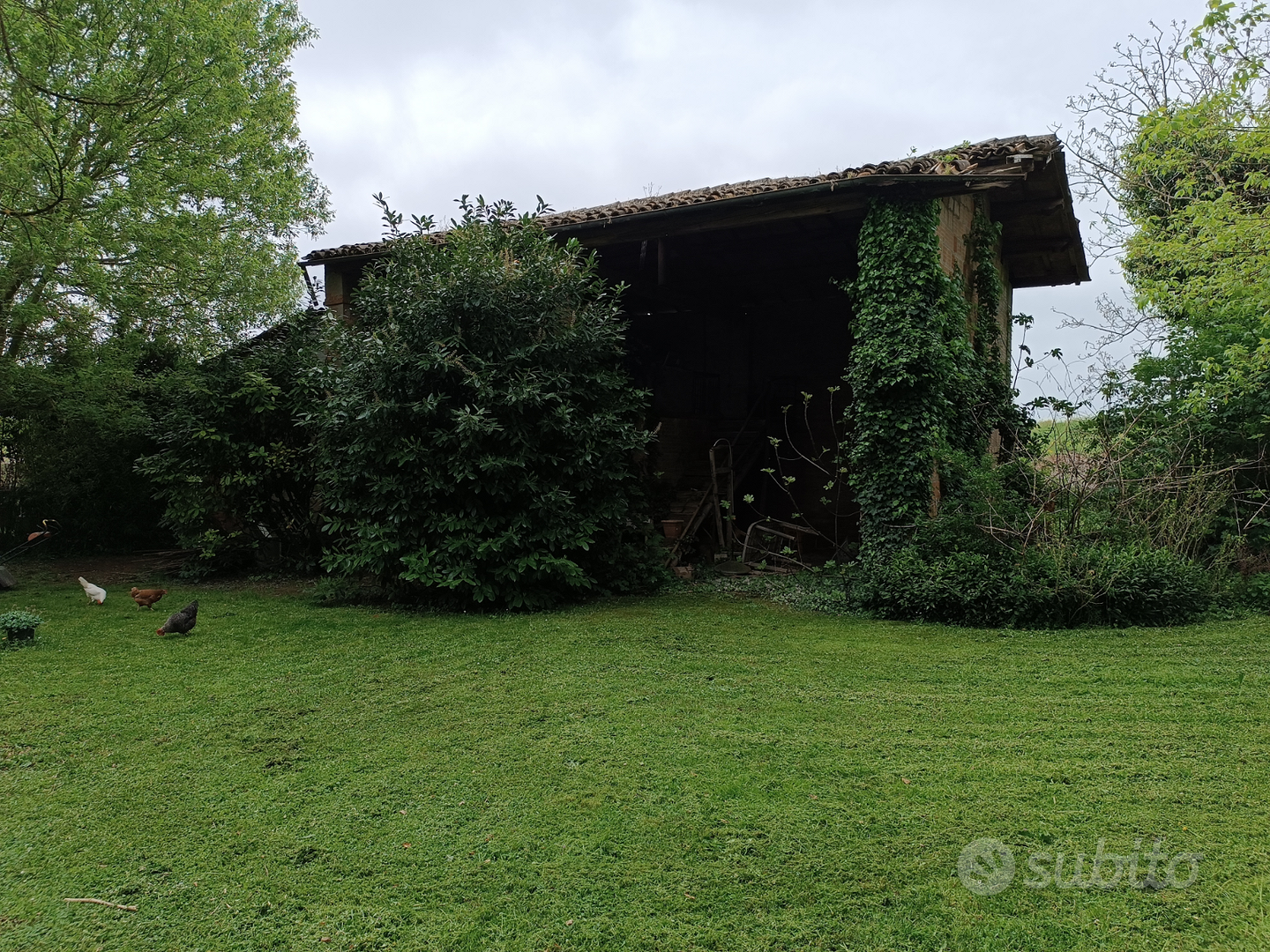 Fossolo, rustico con terreno - Altro