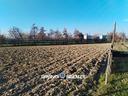 magazzino-trasformabile-in-residenziale-a-roncade-