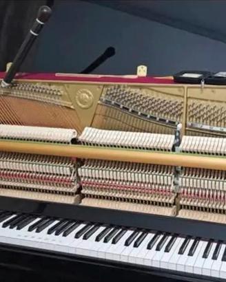 pianoforte b3e silent 