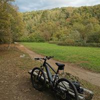 Bicicletta elettrica Rock rider (taglia L)