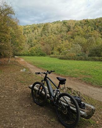 Bicicletta elettrica Rock rider (taglia L)