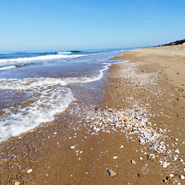 Sabaudia solo affitti