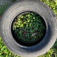 Pneumatico invernale BF GOODRICH