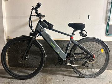 Bicicletta elettrica