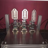 Pedaliera passione sim racing