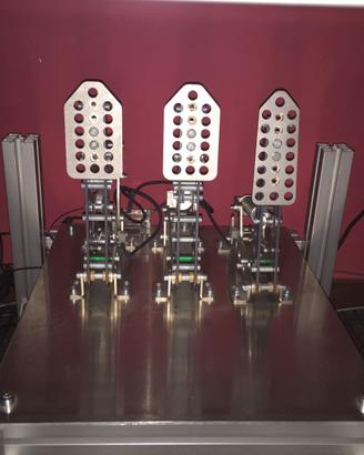 Pedaliera passione sim racing