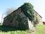 Immagine 7