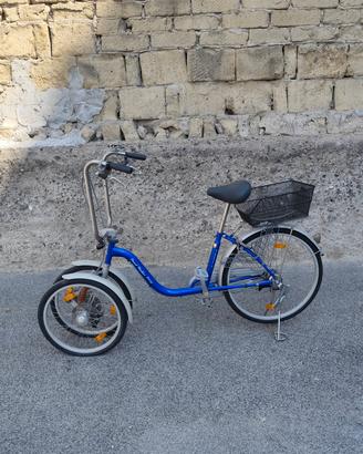 bici trasporto giapponese 