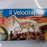 Gioco Piccolo Archeologo - Il Velociraptor