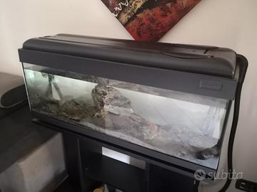 acquario 120 litri 