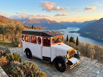 Ford pavesi 320