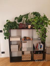 Scaffale/casellario/libreria/pensile legno venghé