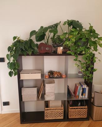 Scaffale/casellario/libreria/pensile legno venghé