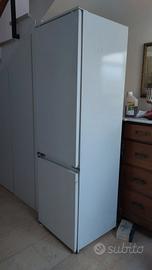 Frigo Rex