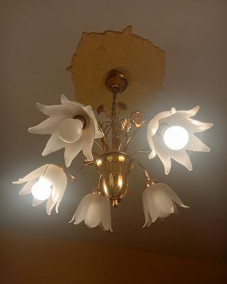 luci camera