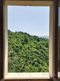 Terratetto a Noci ,Granaglione.Bologna