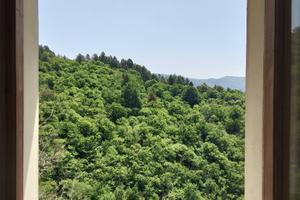 Terratetto a Noci ,Granaglione.Bologna