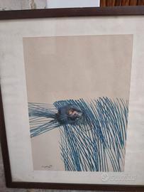 grafica di G. Zigaina '62