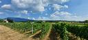 ter-agricolo-a-caprino-veronese