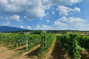 TER. AGRICOLO A CAPRINO VERONESE