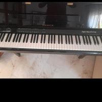 pianoforte elettronico 1/4 di coda 