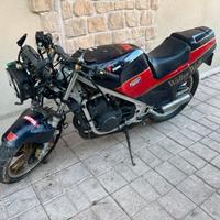 Suzuki rg 250 Walter Wolf