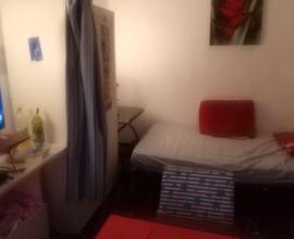Posto letto in camera tripla per Donna no animali