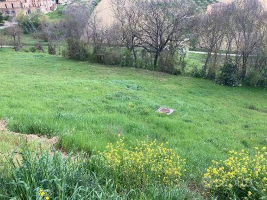 Immobile in asta di 5736 m² a Montegranaro - Vista 3