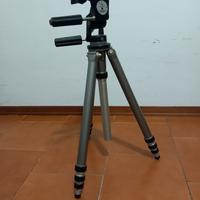 cavalletto manfrotto