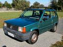 fiat-panda-1100-i-e-cat-young