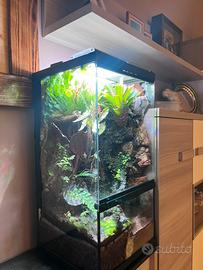 EXO TERRA PALUDARIUM PRO
