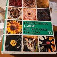 enciclopedia del ragazzo italiano 