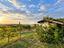 Immagine 29