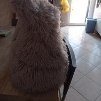 cuccetta per gatti o cagnolini 