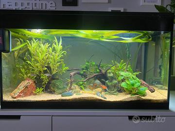 Acquario Askoll Pure XL Led 100 litri COMPLETO