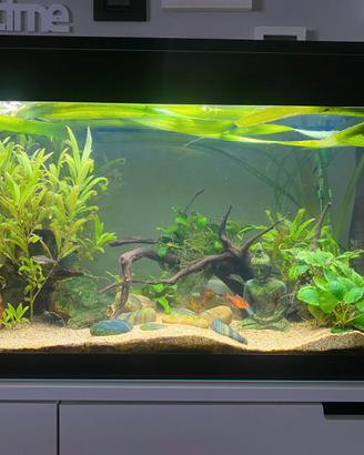 Acquario Askoll Pure XL Led 100 litri COMPLETO