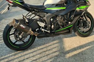 NINJA ZX-6R ANNO 2024